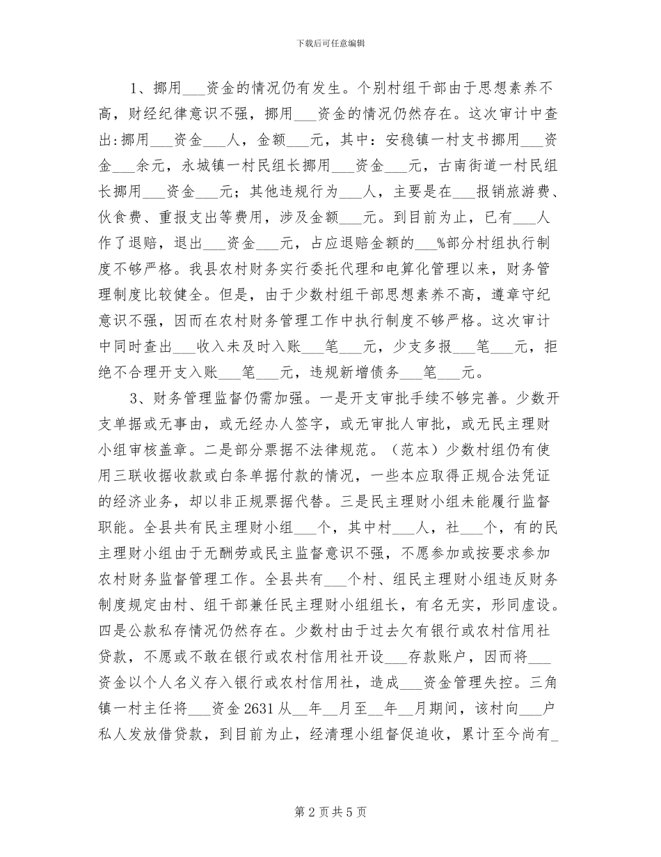 2024年农村财务审计年终工作总结_第2页