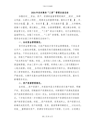 2024年农村集体“三资”管理自查总结