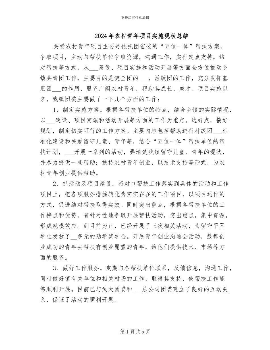 2024年农村青年项目实施现状总结_第1页