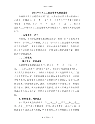 2024年农民工工资支付情况检查总结