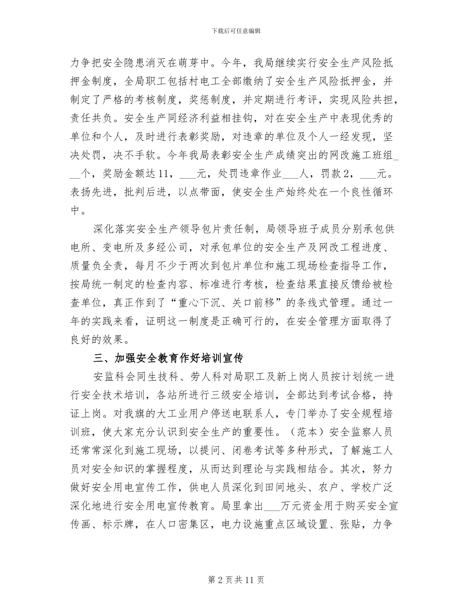 2024年农电局年度工作总结_第2页