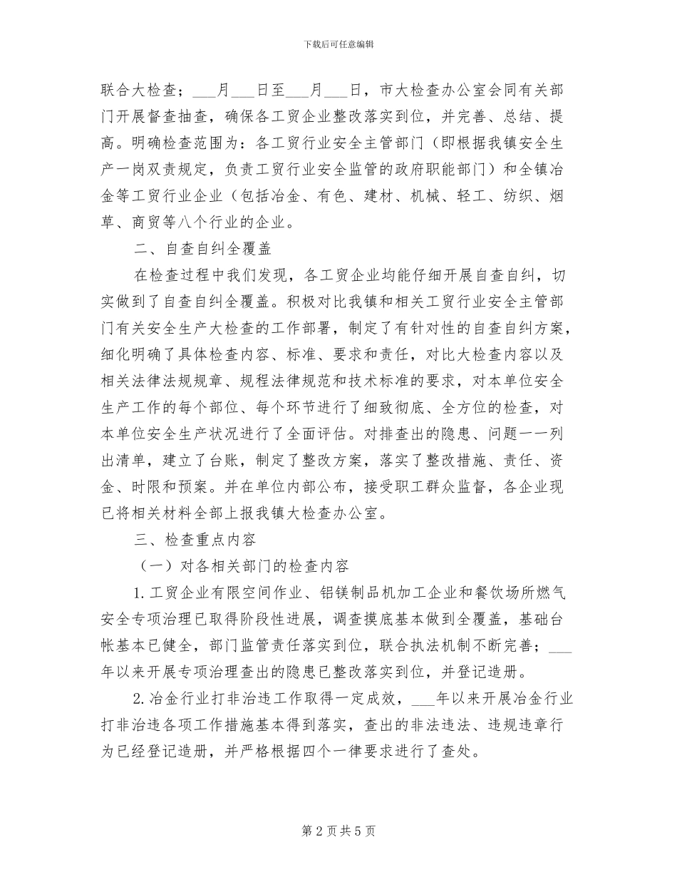 2024年冶金等工贸行业企业安全生产大检查工作总结_第2页