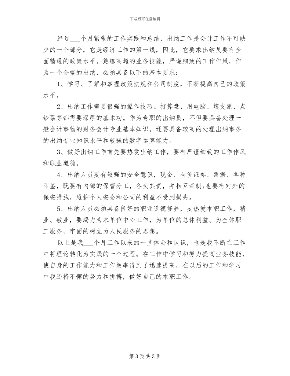 2024年出纳个人年度总结范文_第3页