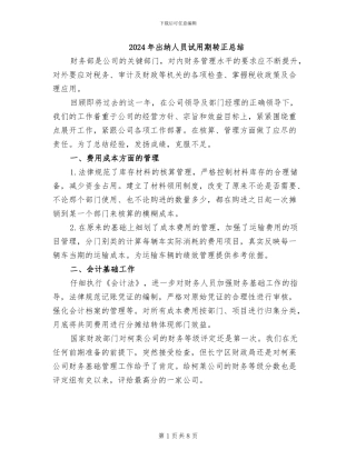 2024年出纳人员试用期转正总结