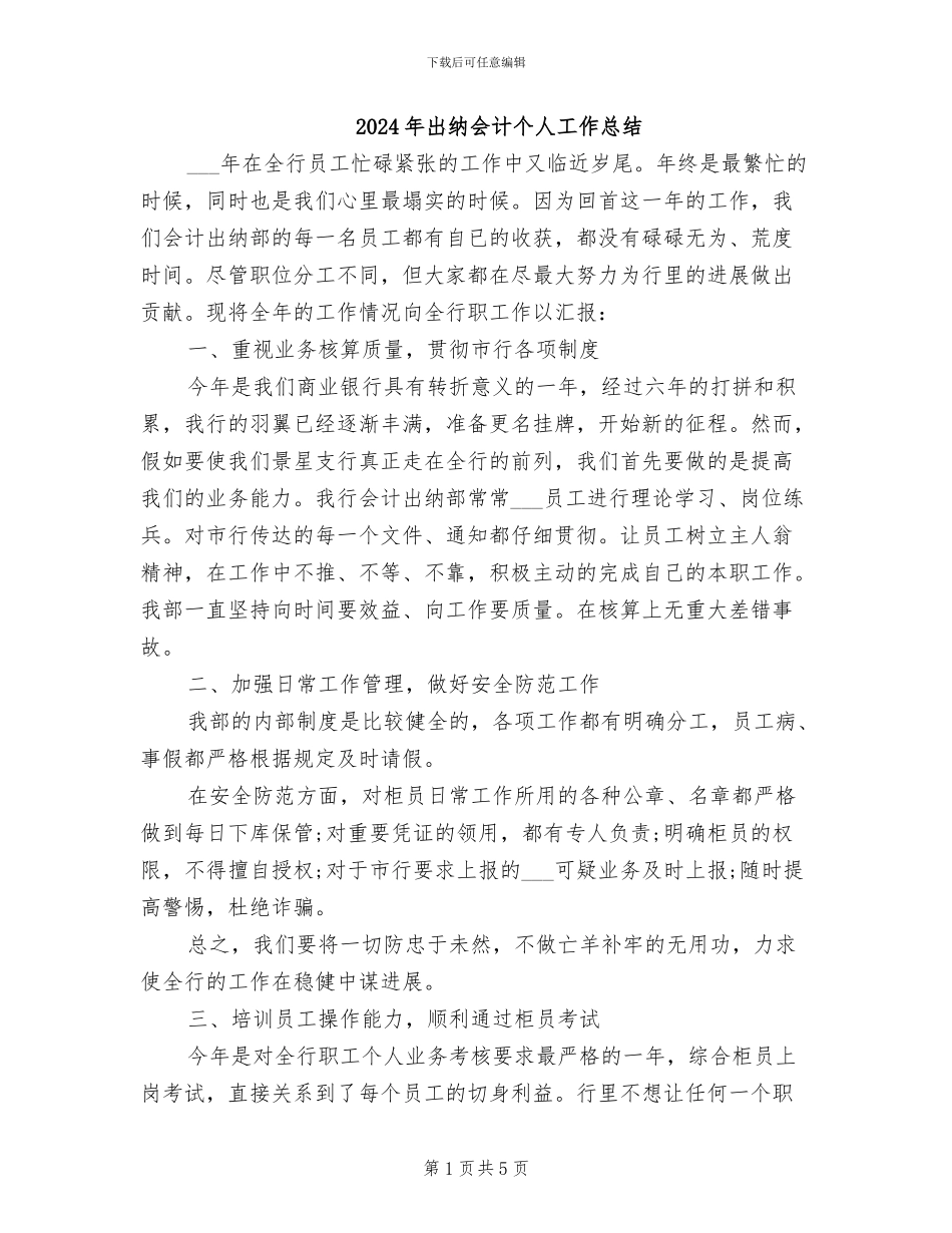 2024年出纳会计个人工作总结_第1页