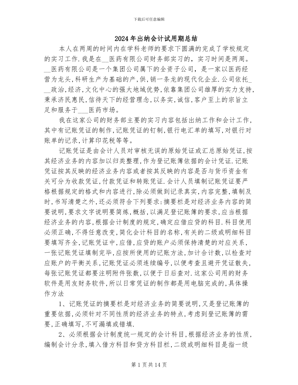 2024年出纳会计试用期总结_第1页