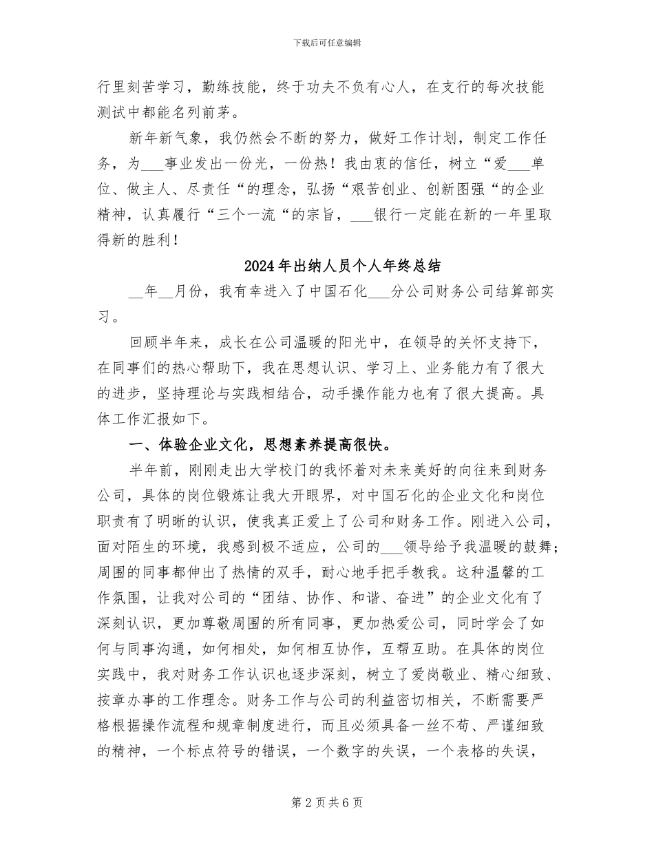 2024年出纳人员个人工作总结_第2页