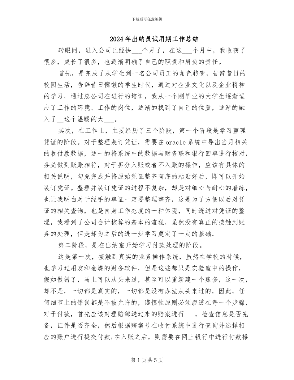 2024年出纳员试用期工作总结_第1页