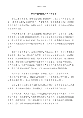 2024年出纳团员年终评价总结