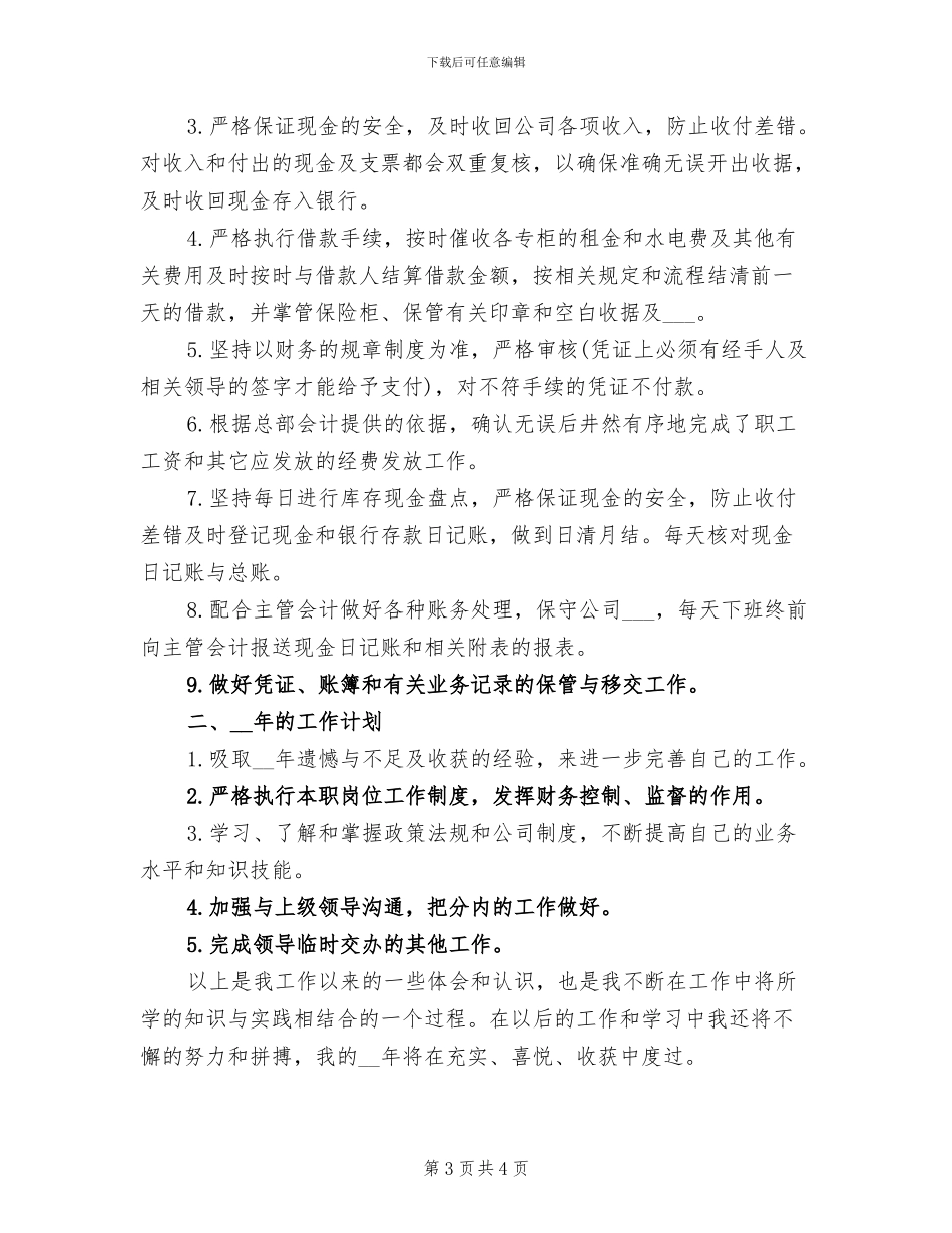 2024年出纳年度工作总结与工作计划_第3页