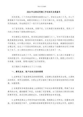 2024年出纳试用期工作总结及自我鉴定