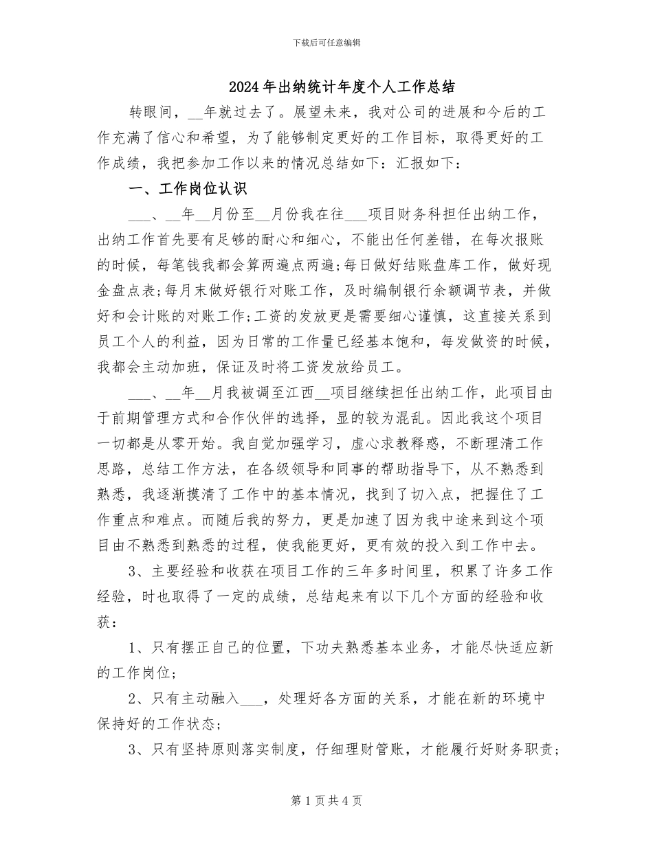 2024年出纳统计年度个人工作总结_第1页