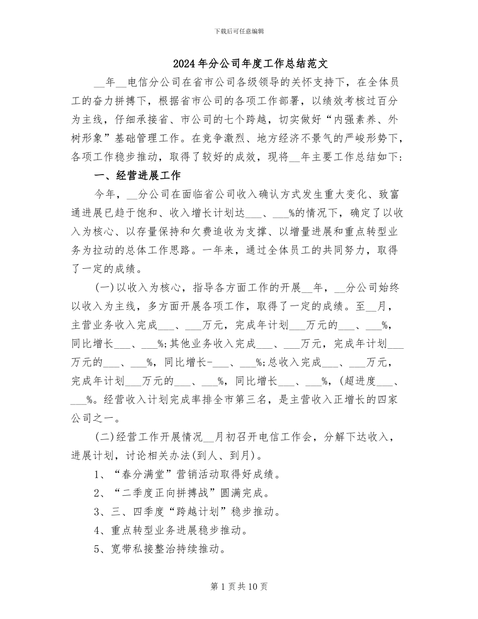 2024年分公司年度工作总结范文_第1页
