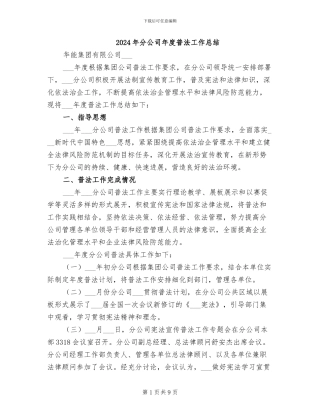 2024年分公司年度普法工作总结