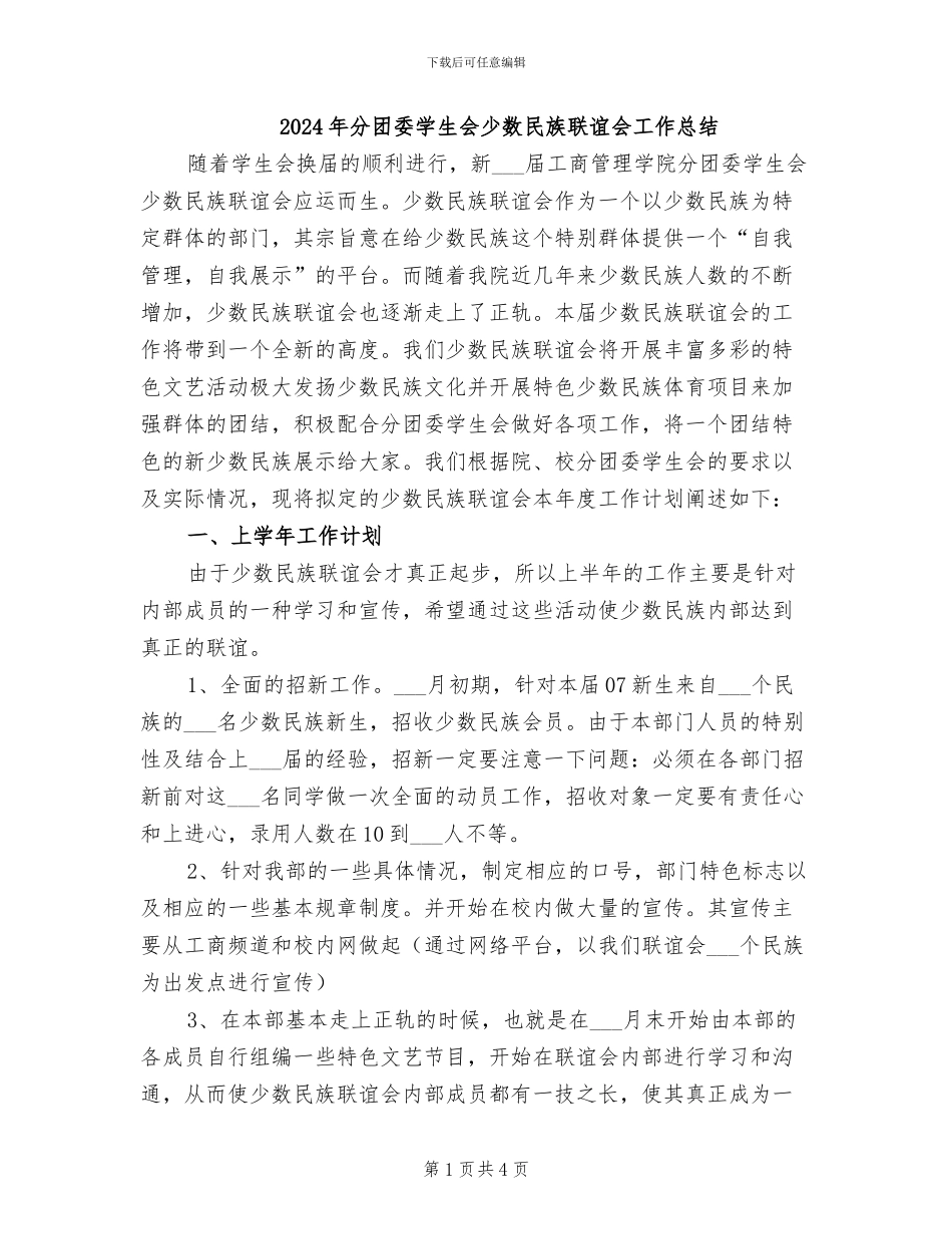 2024年分团委学生会少数民族联谊会工作总结_第1页
