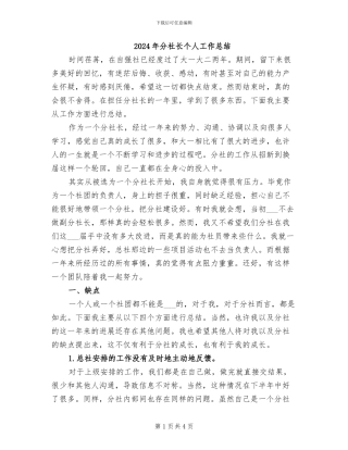 2024年分社长个人工作总结