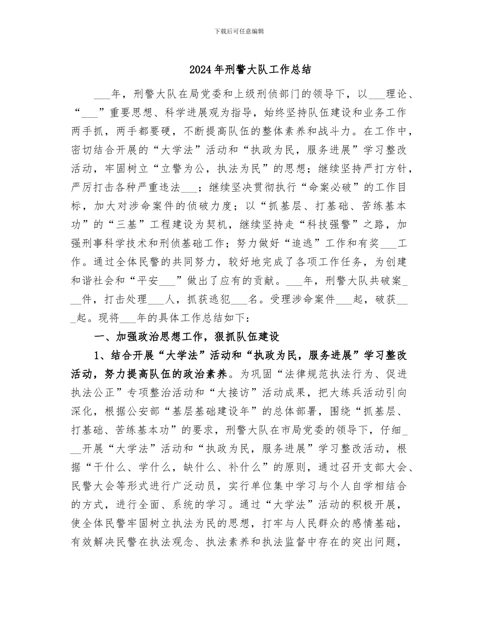 2024年刑警大队工作总结_第1页