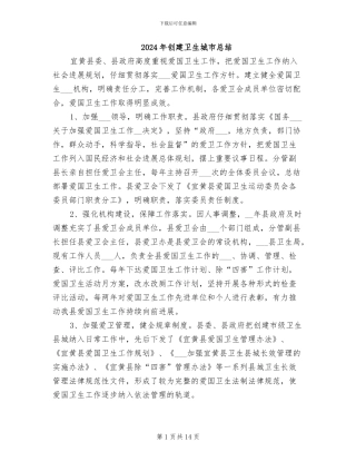 2024年创建卫生城市总结