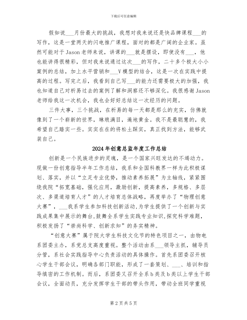 2024年创意总监工作总结范文_第2页