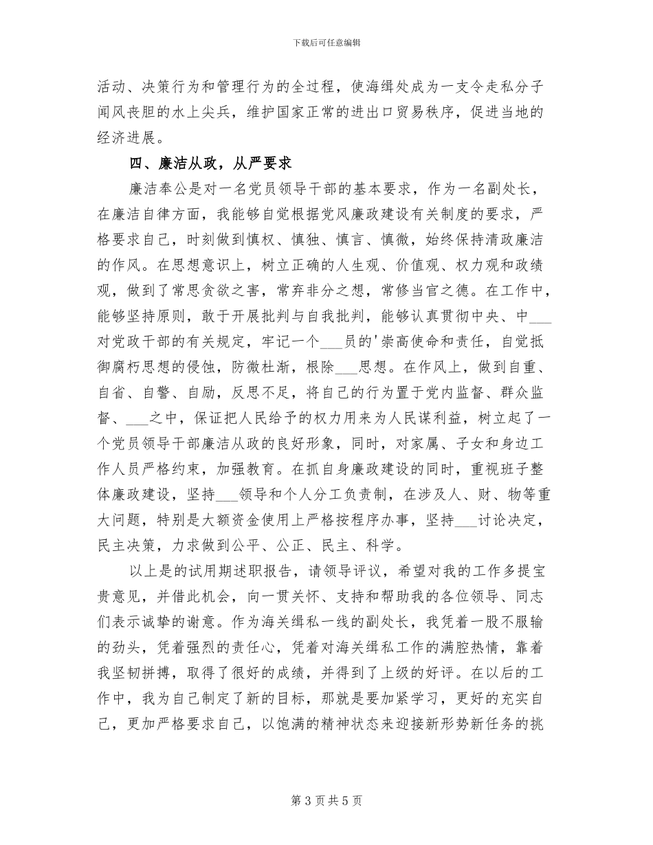 2024年副处长试用期转正总结_第3页