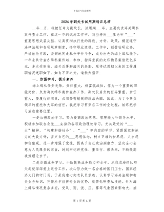 2024年副处长试用期转正总结