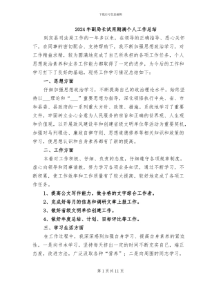 2024年副局长试用期满个人工作总结