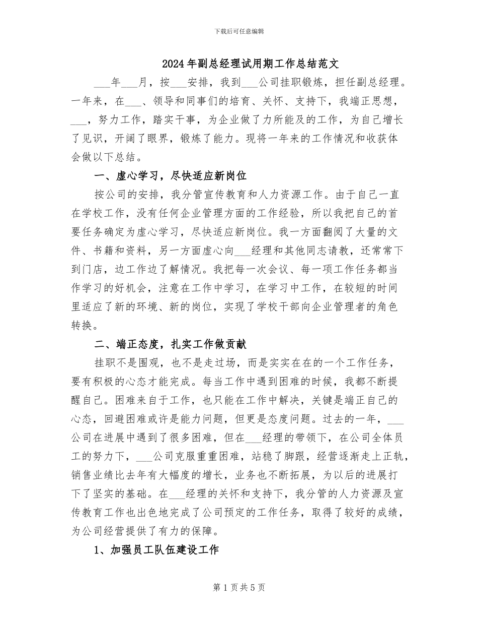 2024年副总经理试用期工作总结范文_第1页