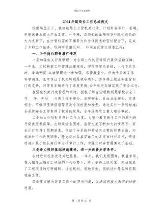 2024年副局长工作总结例文