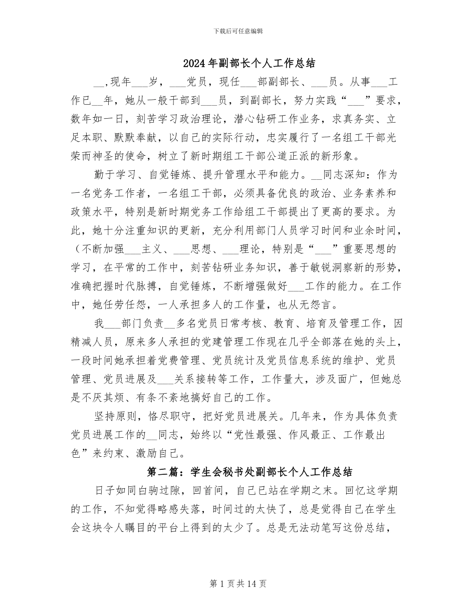 2024年副部长个人工作总结_第1页