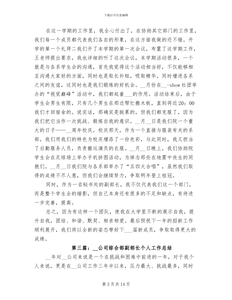 2024年副部长个人工作总结_第3页