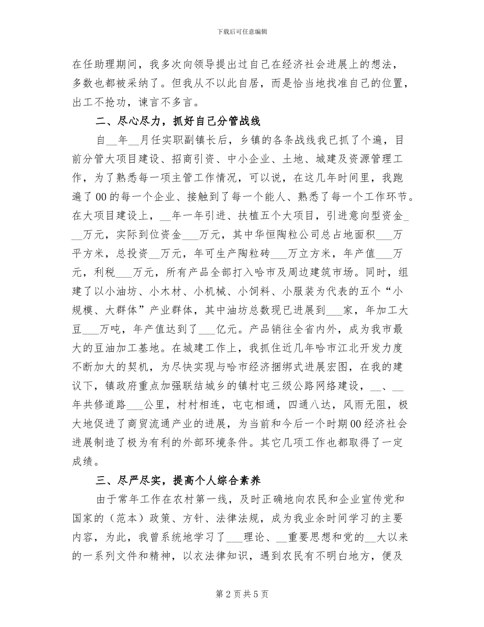 2024年副镇长年终工作总结最新_第2页