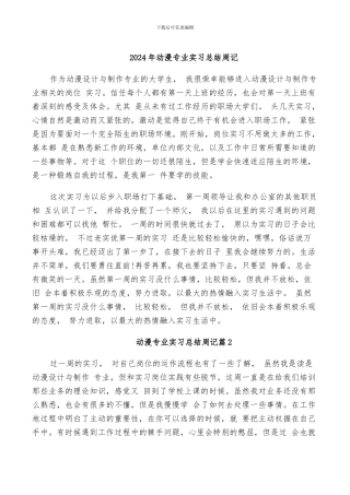 2024年动漫专业实习总结周记