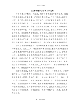 2024年助产士自我工作总结