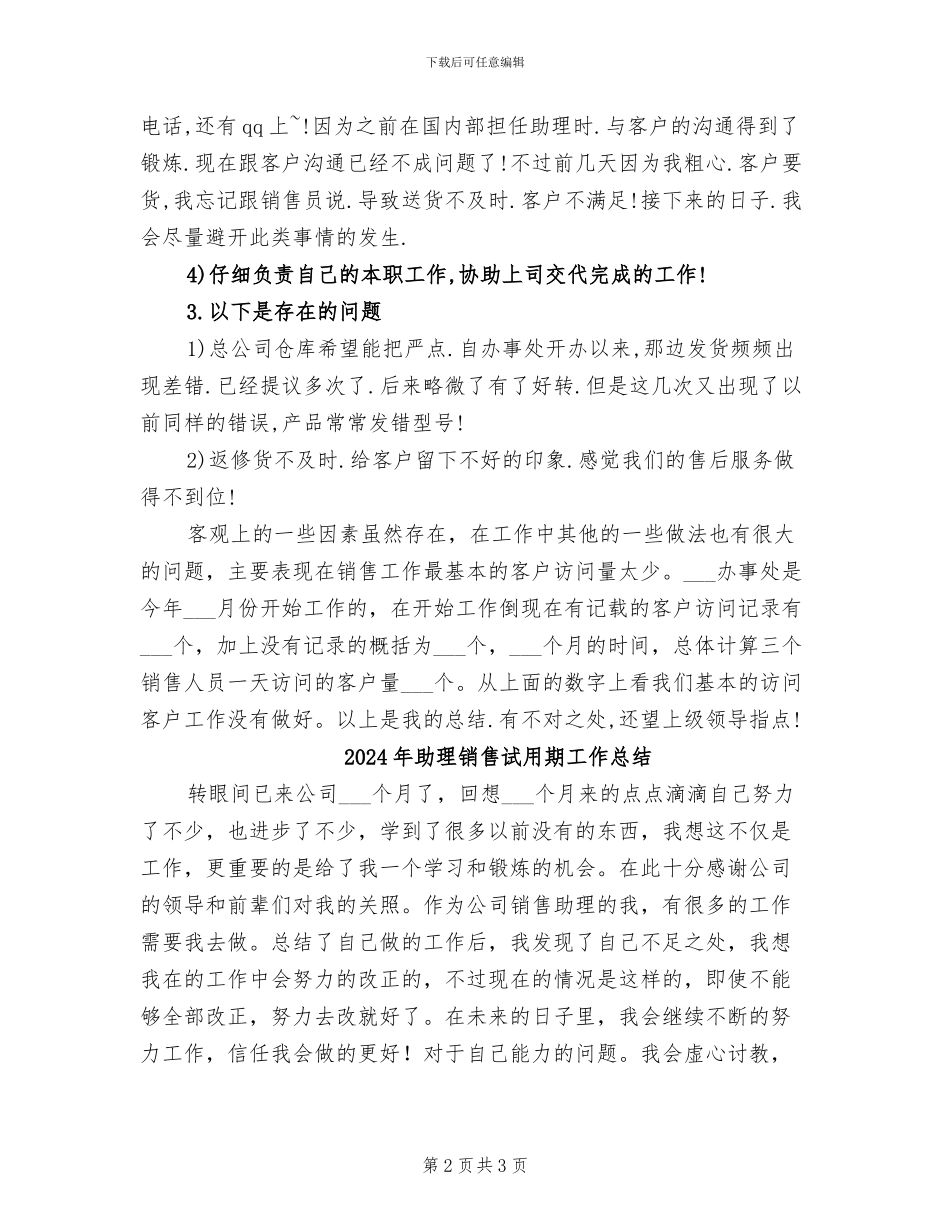 2024年助理销售工作总结样本_第2页