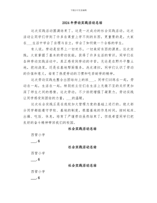 2024年劳动实践活动总结