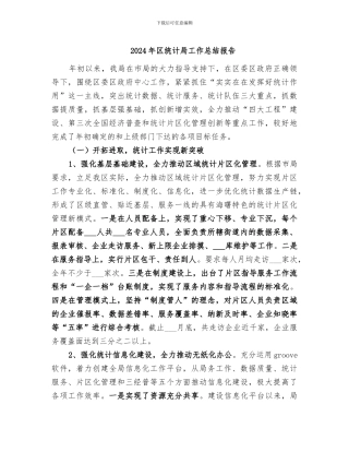 2024年区统计局工作总结报告