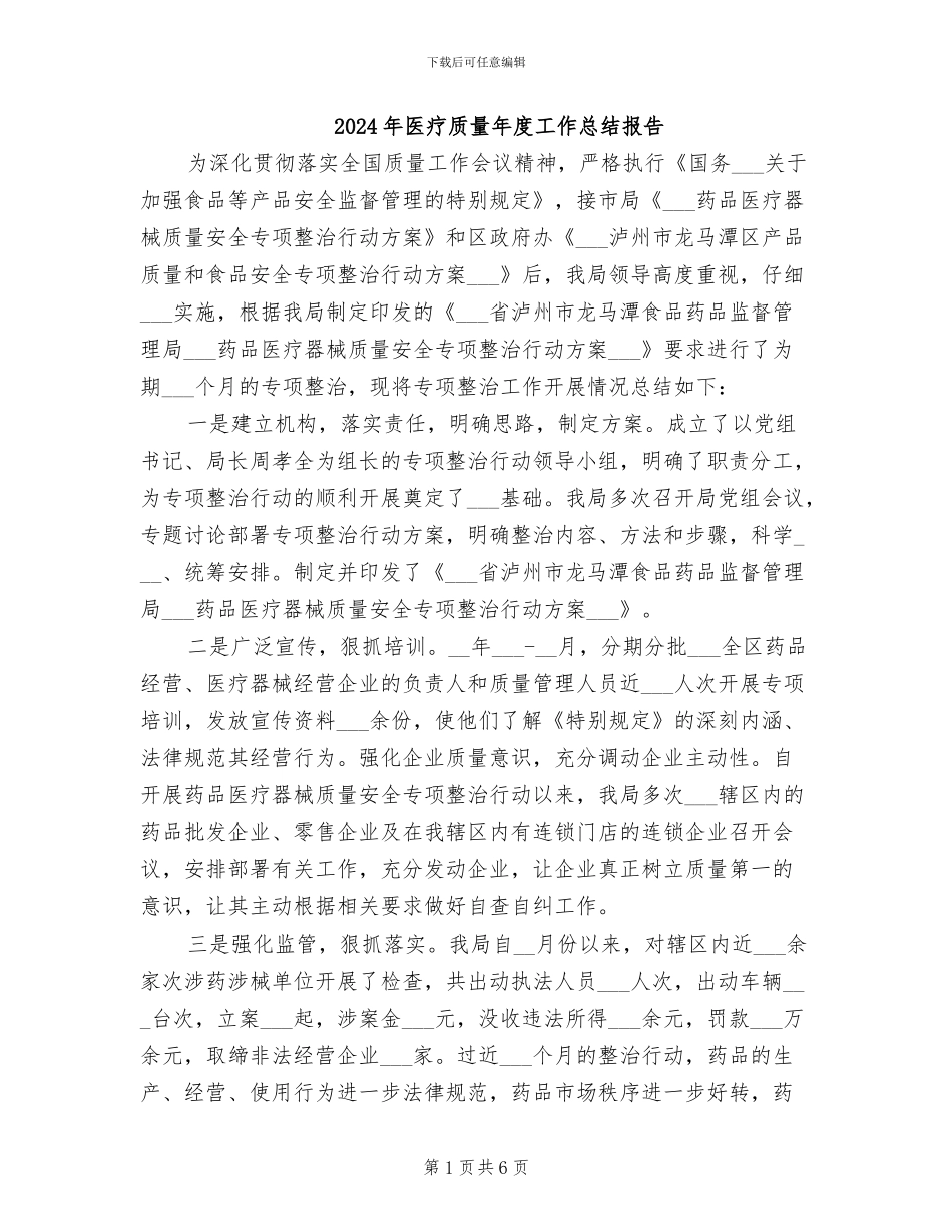 2024年医疗质量年度工作总结报告_第1页
