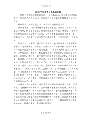 2024年医院实习生组长总结
