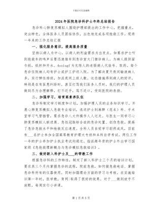 2024年医院急诊科护士年终总结报告