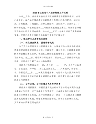 2024年卫生局个人挂职锻练工作总结