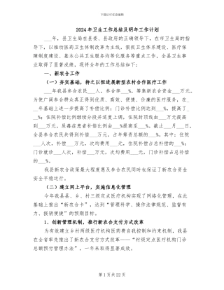 2024年卫生工作总结及明年工作计划