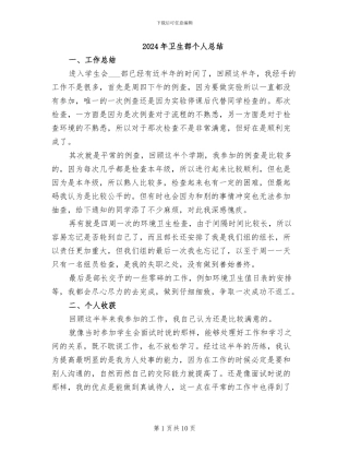 2024年卫生部个人总结