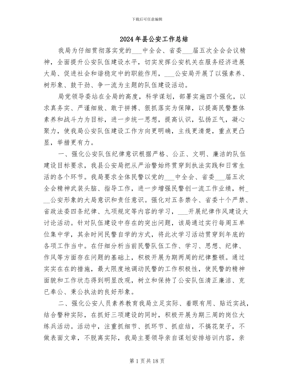 2024年县公安工作总结_第1页