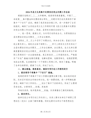 2024年县文化局集中处理信访突出问题工作总结