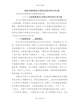 2024年县电信分公司民主评议行风工作小结