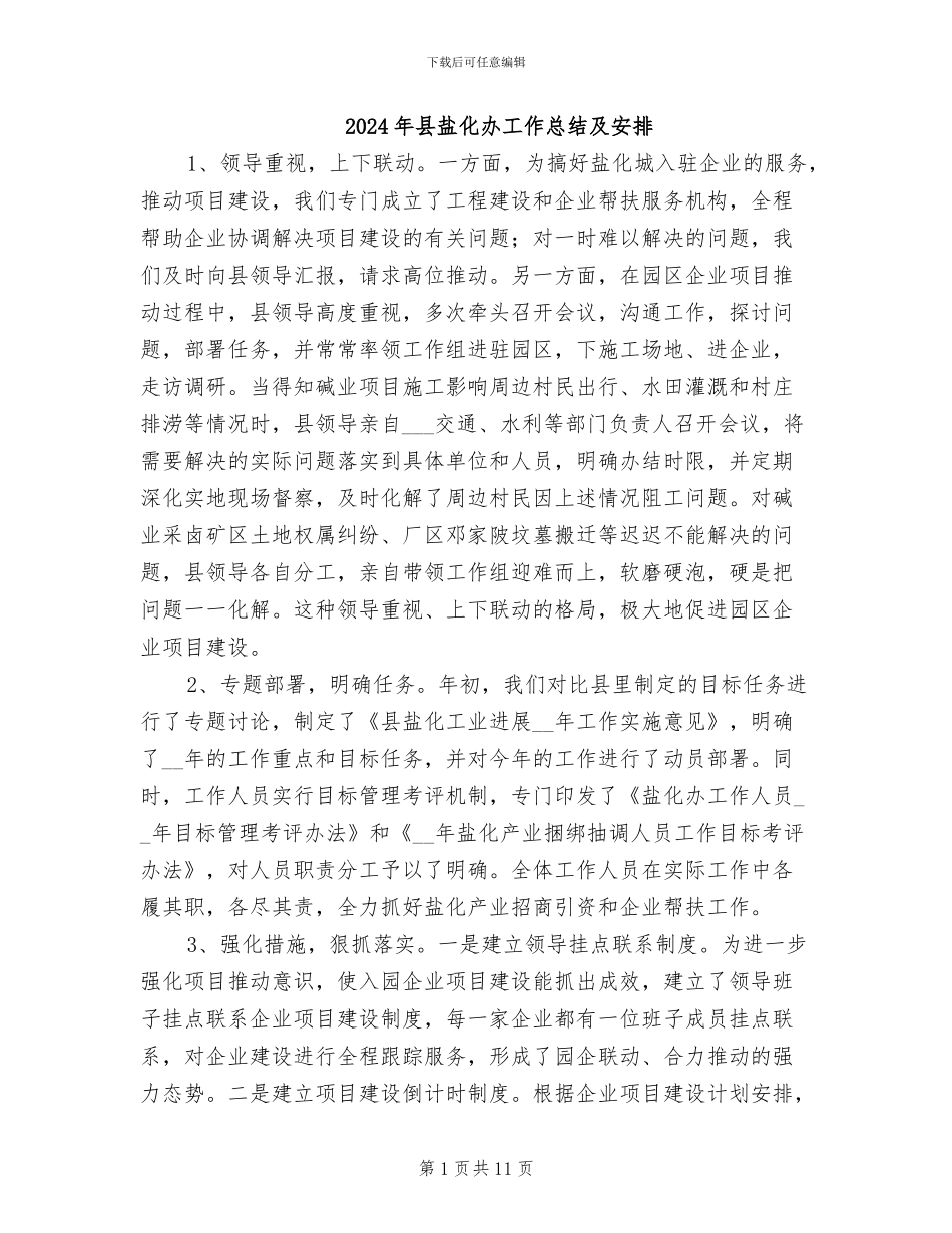 2024年县盐化办工作总结及安排_第1页