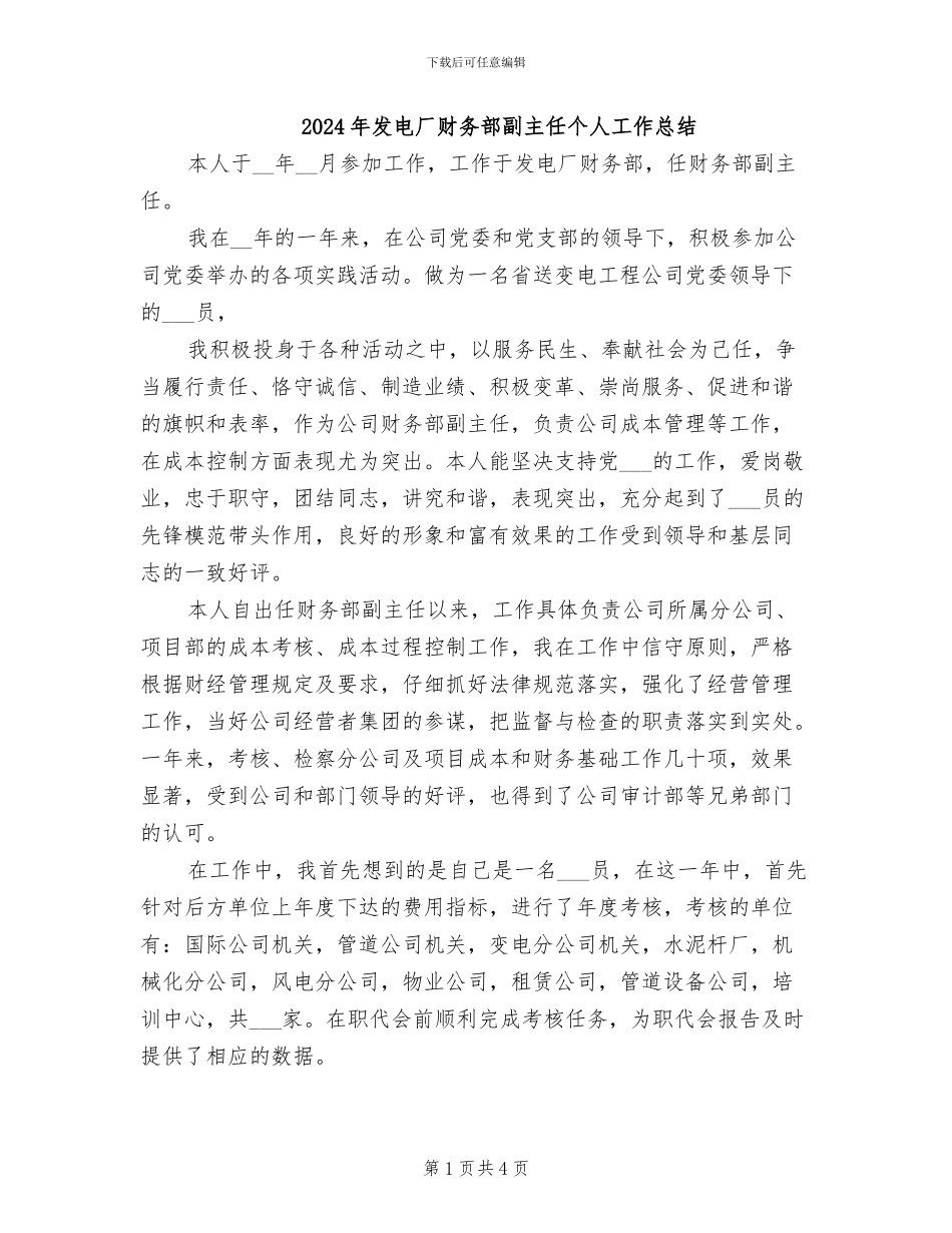 2024年发电厂财务部副主任个人工作总结_第1页