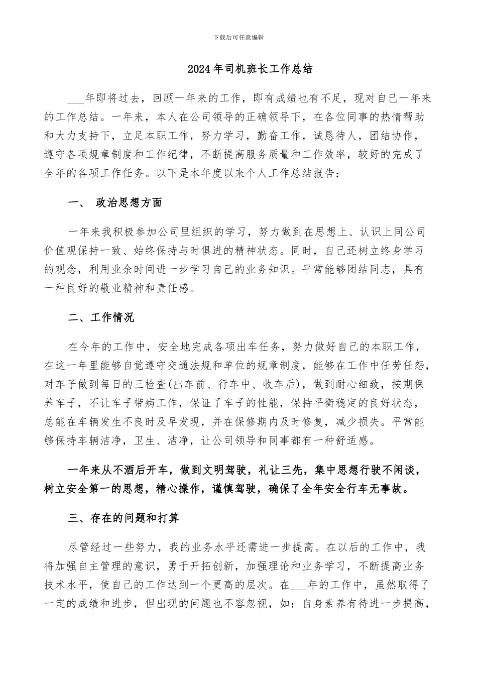 2024年司机班长工作总结_第1页