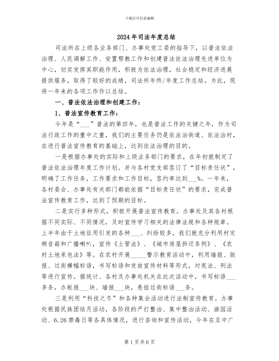 2024年司法年度总结_第1页