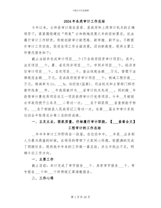 2024年各类审计工作总结